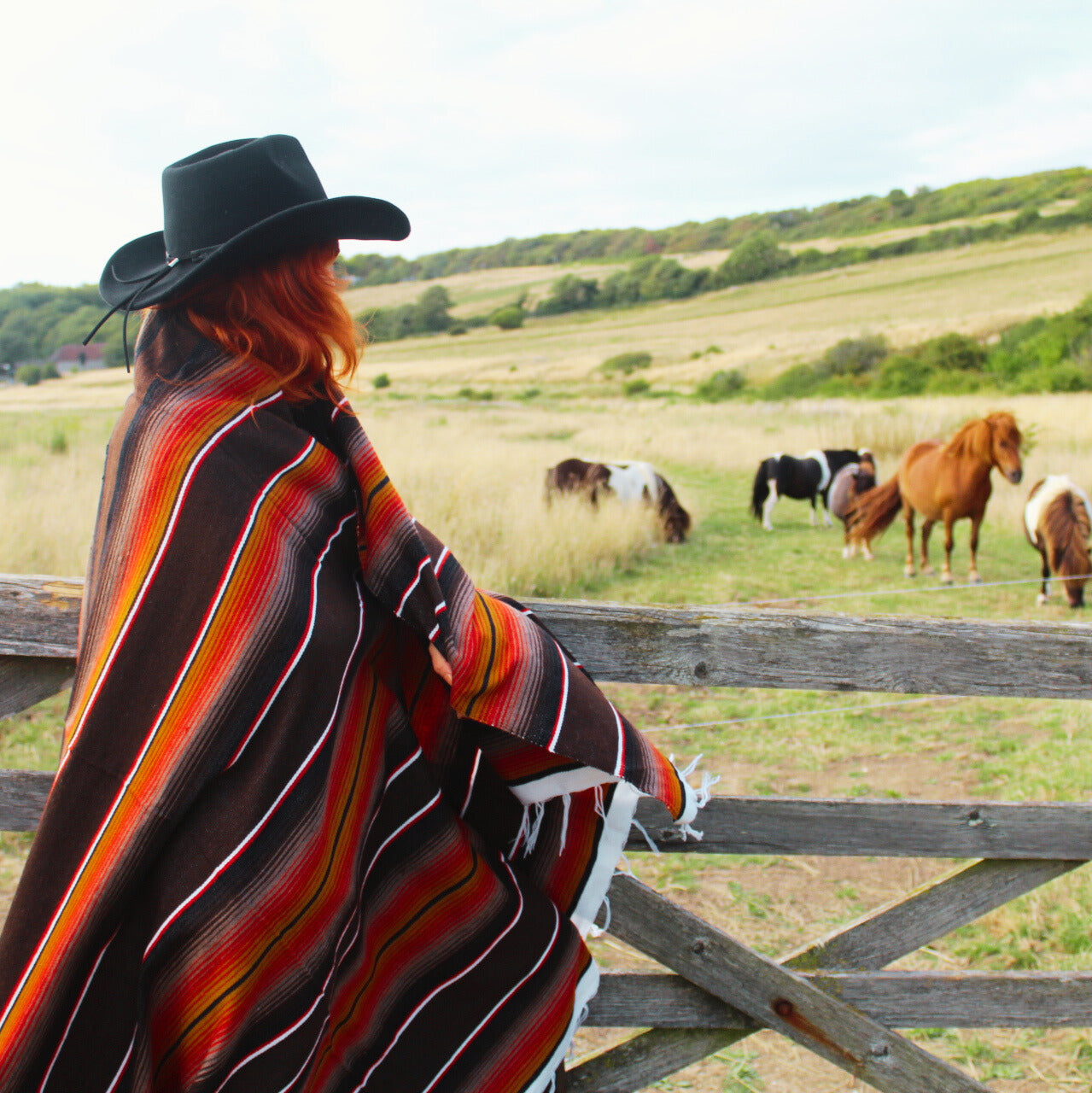 Mexican isla serape brown blanket
