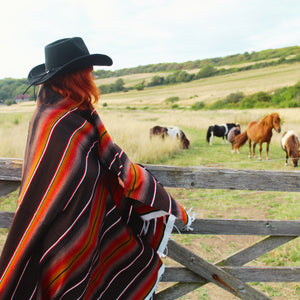 Mexican isla serape brown blanket